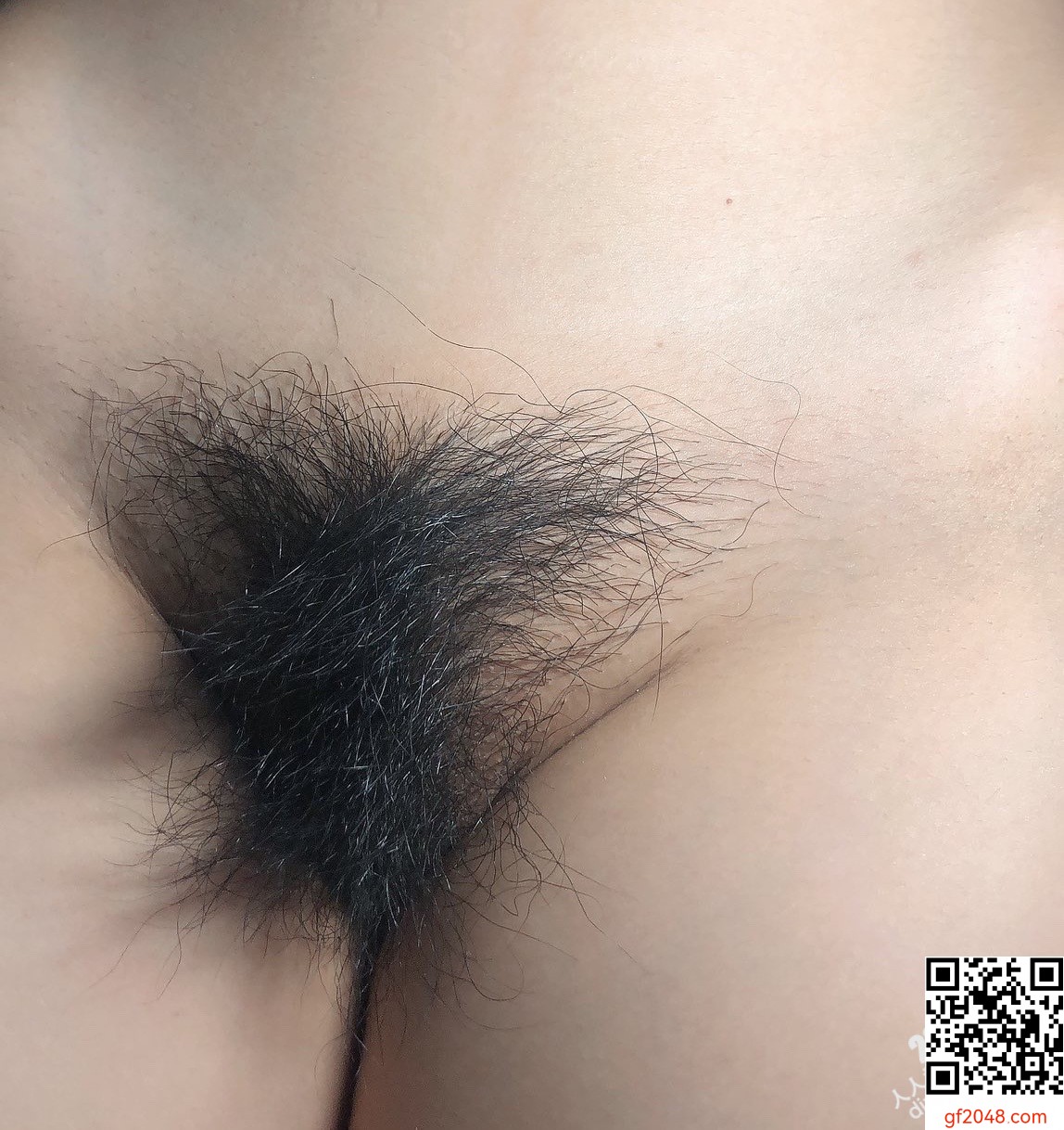 猛操丝袜女【24P】