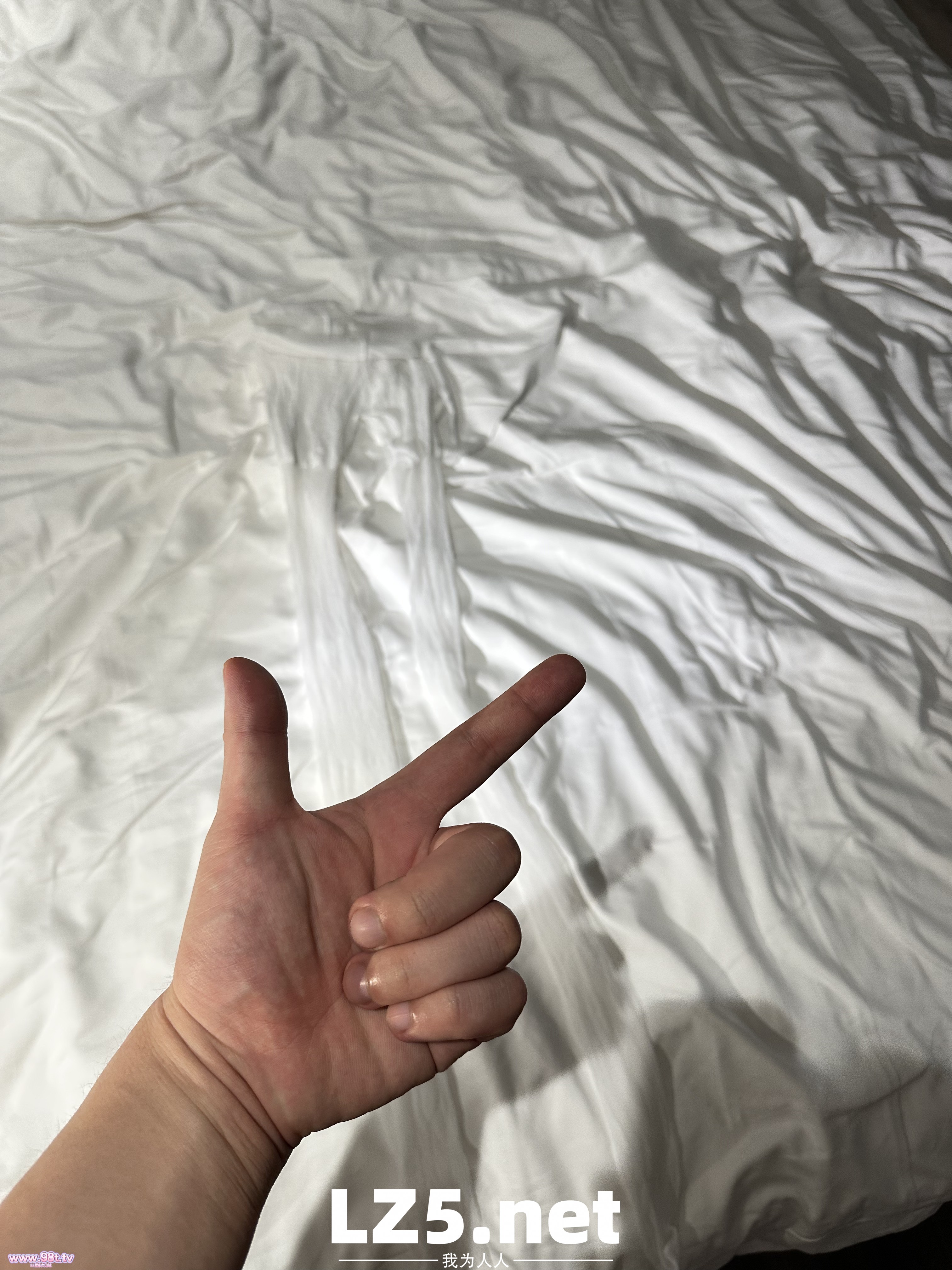 我的护士小母狗（十一）【14P+手势验证】