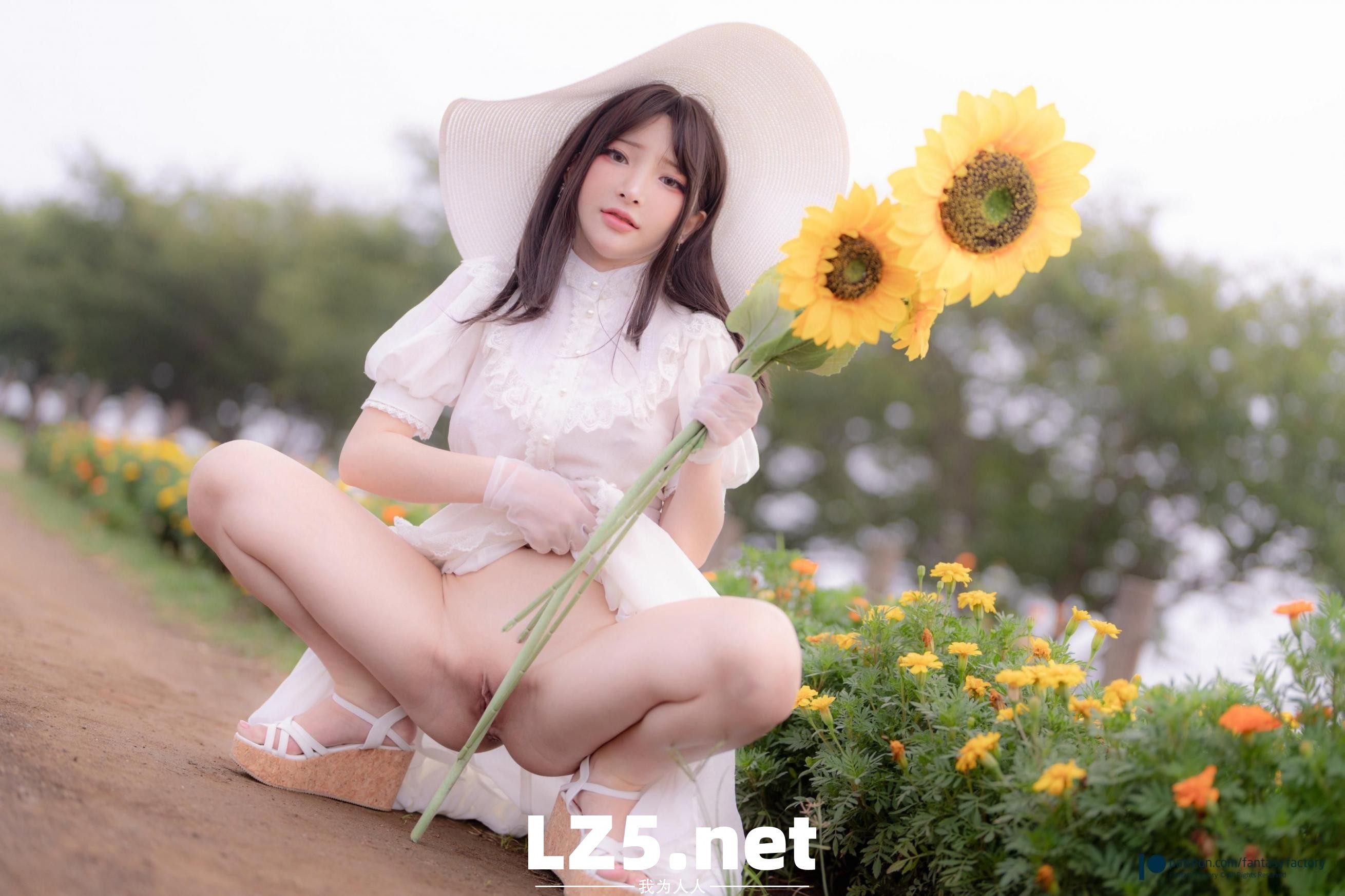 夏日的向日葵最美了[16P]